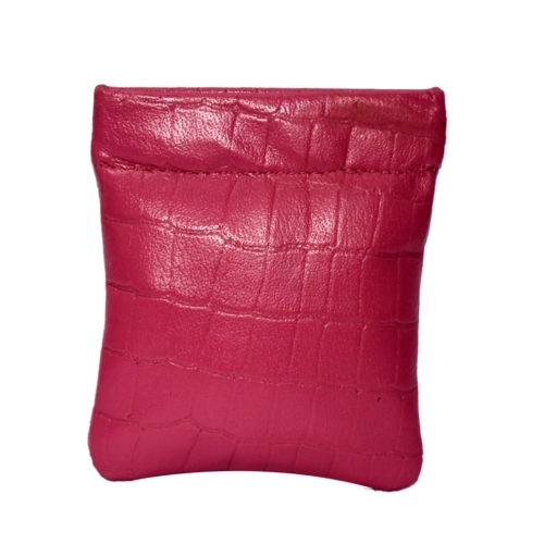 Softy Earphone Pouch